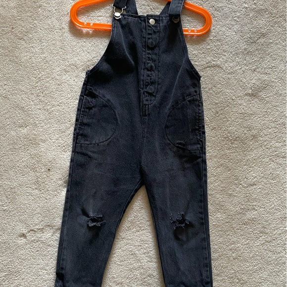 Zara - Picture 2 of 2